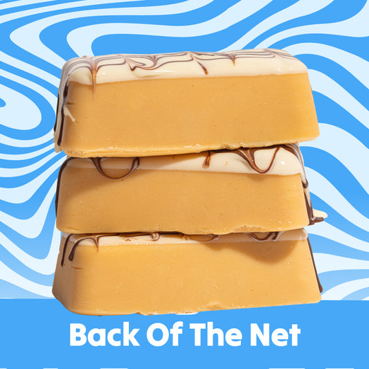Back of the Net Fudge