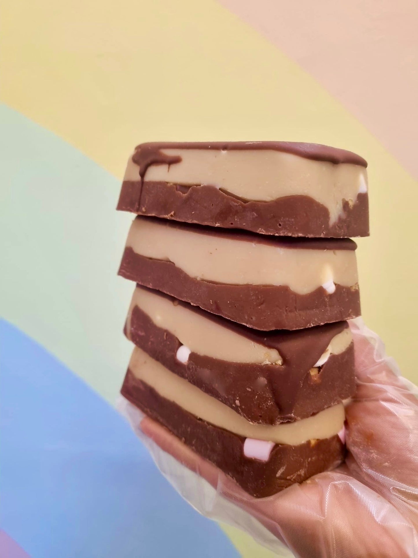 S'mores The Finest Fudge Co.